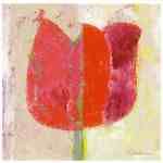 Tulipan II  (LM)