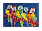 Five Parrots  (LM)