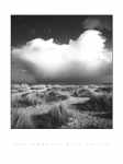 Suffolk Dunes  (LM)