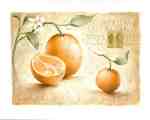 Arancia