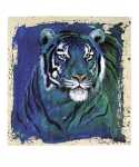 Eyes of the Tiger  (LM)