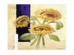 Helianthus