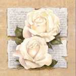 Rose Poetry