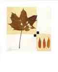 Indian Summer