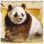 Panda  (LM)