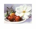 Still life with Cherries  (LM)