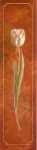 Tulip - Rouge