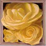 Boxed Yellow Roses I