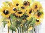 Sonnenblummenfeld