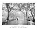 Poet-s Walk
