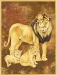 Lion and Two Cubs  (LM)