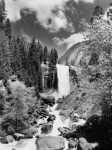 Yosemite Park,California