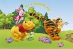 WINNIE THE POOH (48)