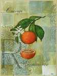 Renaissance Orange