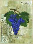 Renaissance Grapes