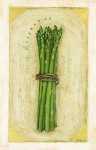 Asparagus Asparagus