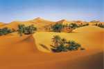 SAHARA (87)