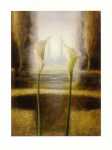 Mystic Garden III  (LM)