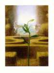 Mystic Garden IV  (LM)