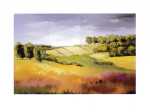 The Cotswold I