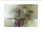 Trees II