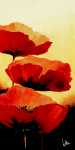 Three Red Poppies I