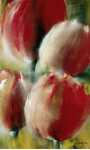 Outshine all Others III