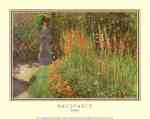 Gladioli  (LM)