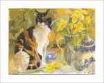 Tortoiseshell and Teapot  (LM)