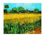 Arles les Irises  (LM)
