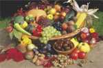 AUTOMN FRUIT (132)