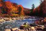 AUTOMN BROOK (147)