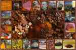 ALL ABOUT CHOCOLATE ALL ABOUT CHOCOLATE
