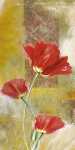 Three Tulips