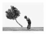 The Tree