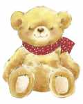 Teddy
