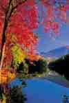 LAKE (208)  (LM)