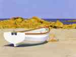 Desert Beach with Boat