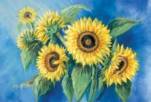 Sunflowers  (LM)