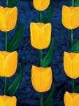 Yellow Tulips  (LM)