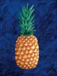 Pineapple  (LM)