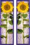 Sunflower  (LM)