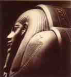 Pharaoh  (LM)