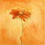 Fiore 2