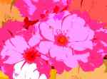 Petal Composition I