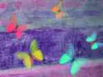 Schmetterling Mauve