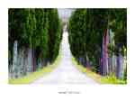 Viale Toscana
