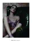 Photograph IV