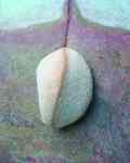 Thai Stones II