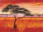 Serengeti Dusk